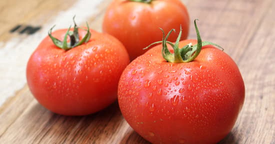 Tomatoes - Round Gourmet