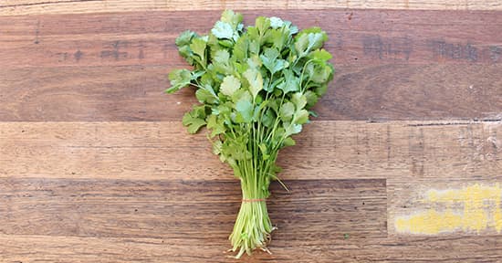 Herb - Coriander