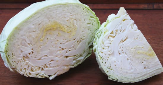 Cabbage - Green