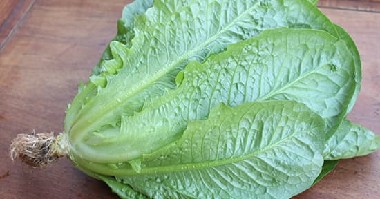 Lettuce - Cos