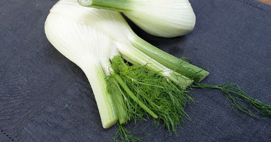 Fennel Bulb - Small size