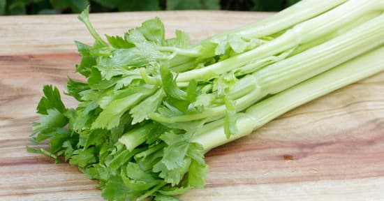 Celery - Bunch