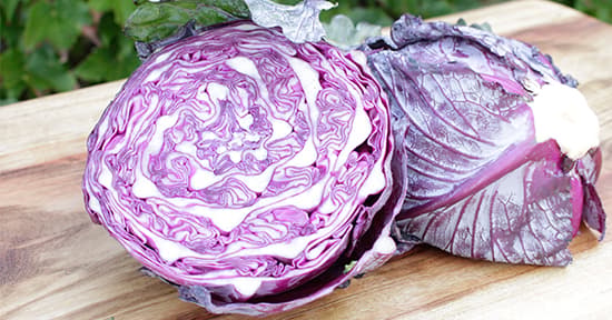 Cabbage - Purple