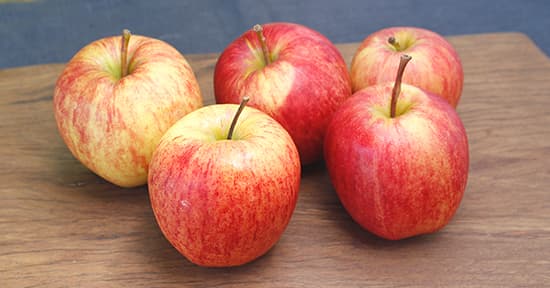 Apples - Gala