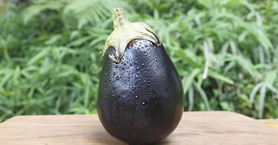 Eggplant - Each (Large 400-500g)