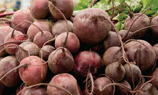 Beetroot