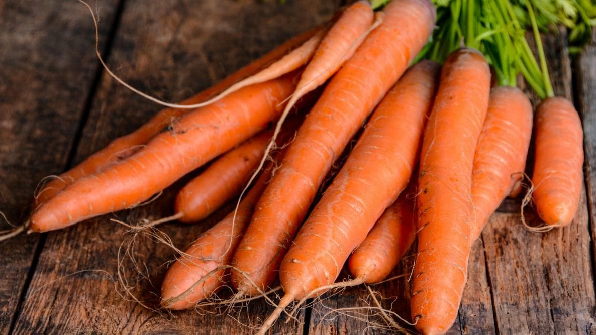 Carrots - Medium