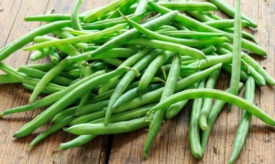 Beans - Green