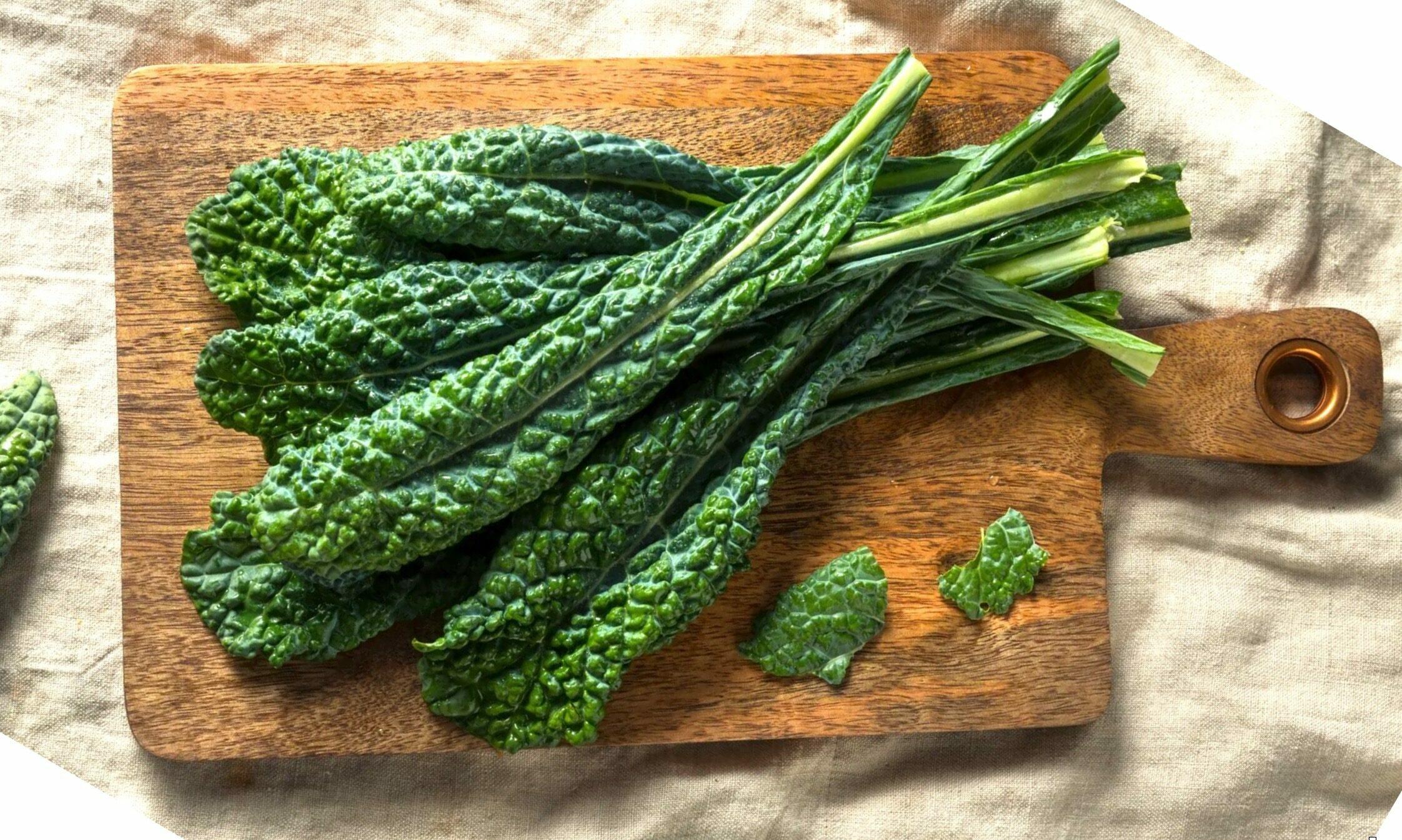 Kale - Cavalo Nero (Tuscan)
