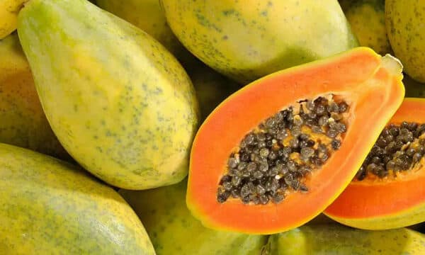 Papaya - Red (700-900g)